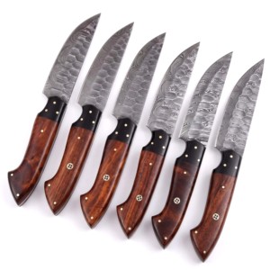 Juego de 6 Cuchillos de Cocina de Acero de Damasco Hechos a Mano, de Alta Calidad, Precio Bajo al por Mayor, Fabricación OEM - Product Image 1