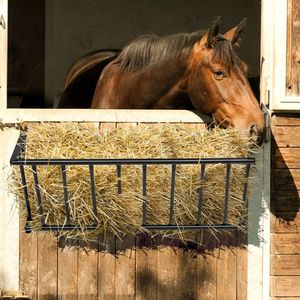 Portapacchi da tetto resistente 51x36x5 pollici, impermeabile, con cesto portaoggetti, rete elastica, ganci di fissaggio e tendicorda per mangiatoie per animali - Product Image 2