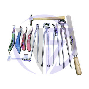 Ensemble d'outils de ferrage personnalisés, 11 pièces essentielles pour l'entretien des sabots de cheval, instruments en acier inoxydable chirurgical - Product Image 4