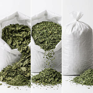Exportación directa de fábrica de hojas de albahaca secas a precio económico en India por Gingerly Naturals - Product Image 4