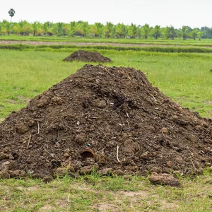 Engrais en poudre de fumier de vache 100% naturel et biologique, haute efficacité, en sac/scatole scellé pour une agriculture et un jardinage durables - Product Image 1