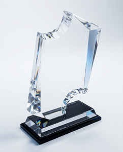 Exceptional Customizable Elegant Acrylic Bronze Awards Lasting Tribute Outstanding Achievements <b>Trophies</b> Medals <b>Plaques</b> - Product Image 4