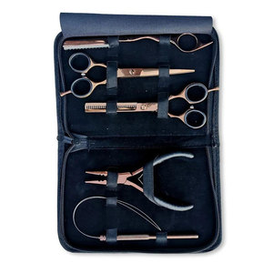 Juego de Herramientas de Maquillaje para Extensiones de Cabello de Alta Calidad con Pinzas Profesionales, Tijeras, Kit de Eliminación de Extensiones de Cabello, Acero Inoxidable, Salón de Belleza - Product Image 2