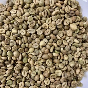 Wholesale Robusta Coffee <b>Beans</b> for Roasting Fully Washed Green Coffee <b>Beans</b> Size 16 Vietnam Highland Farm Direct - Product Image 5