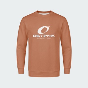 เสื้อสเวตเชิ้ตผู้ชาย OEM สีพื้น ไซส์ใหญ่ ทรงปกติ ผ้าฝ้าย 100% เสื้อผ้าสตรีทแวร์ฤดูหนาว แขนยาว คอกลม แห้งเร็ว - Product Image 5