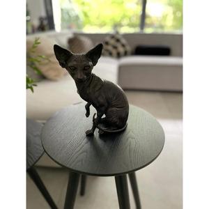 Escultura de Gato de Bronce, Figura de Animal Salvaje, Decoración para el Hogar - Product Image 3