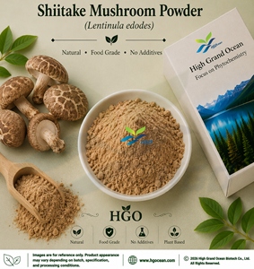 HGO Factory Direct Supply Pure Natural Shiitake Mushroom Powder/ Mushroom Powder Spray Drying / Freeze-dried Shiitake Mushroom - Product Image 1