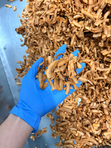 Copeaux de noix de coco séchés croustillants à texture légère et au goût agréable pour les marques de snacks et la distribution en gros - Product Image 6