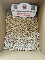 Coquillages mélangés et étoiles de mer naturelles pour décorations de fête sur le thème de la plage