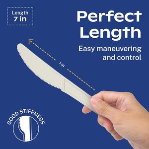 Cucchiai Monouso Compostabili al 100% Bianco Avorio, Resistenti, 120 Pezzi, Senza Plastica, 6.5 Pollici, Antirottura, Bordi Lisci, Ocean Fr - Product Image 2