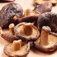 Halal gecertificeerde FD gearomatiseerde gesneden knapperige shiitake paddenstoelenchips, laag temperatuur gebakken, bulk snack, 100% natuurlijk gedroogd gemengd