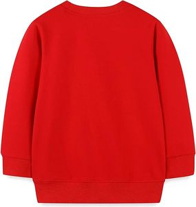 Sweat-shirts décontractés pour enfants en molleton doux, vêtements de sport pour usage quotidien, fournisseur exportateur, sweat-shirts streetwear pour enfants en coton premium - Product Image 2