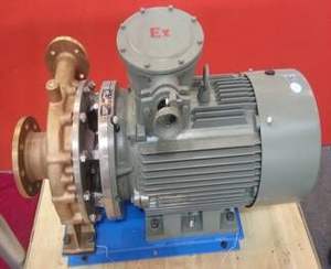 Vente d'usine : Pompe centrifuge cryogénique pour GNL, GPL, LOx, LAr - Product Image 4