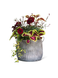 Pots et jardinières d'extérieur fabriqués en Inde, légers et conçus pour les jardins et les balcons, disponibles au meilleur prix du marché. - Product Image 4