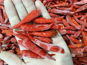 CHILI ROUGE CONGELÉ DE HAUTE QUALITÉ ET AU MEILLEUR PRIX DES FOURNISSEURS VIETNAMIENS - Product Image 6