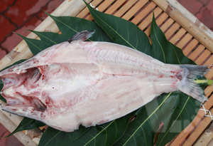 Filet de basa surgelé STB semi-découpé de qualité supérieure pour les distributeurs - Product Image 1