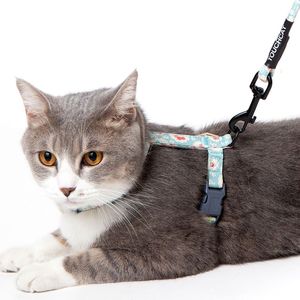 Resistente Pettorina e Guinzaglio per Gatti Radi Claw con Cavo, Set per Animali Domestici - Product Image 3