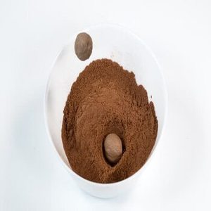 Nouvelle Saison : Poudre de Muscade Indienne 100% Pure du Gujarat pour Grossistes Internationaux en Épices Cherchant des Ingrédients Broyés Pratiques - Product Image 1