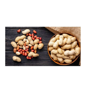 Meilleure vente en gros d'usine de cacahuètes jumbo cacahuètes blanchies 100% cacahuètes naturelles décortiquées cacahuètes crues bon marché pour la cuisson et la fabrication d'huile - Product Image 4