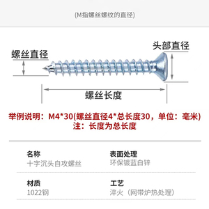 สกรูเกลียวปล่อยปลายเรียบฟิลลิปส์ M4 M5 ความแข็งแรงสูง เกลียวละเอียด สีฟ้าขาว - Product Image 3