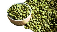 Chicchi di Caffè Robusta Verde di Prima Qualità Grado 1 S16, S18 - Naturale di Alta Qualità dal Vietnam, Miglior Prezzo Pronto per l'Esportazione