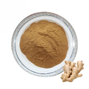 Poudre de gingembre en gros de haute qualité, 100 % pure et naturelle, poudre de racine de Zingiber Officinale pour applications alimentaires et boissons - Product Image 2