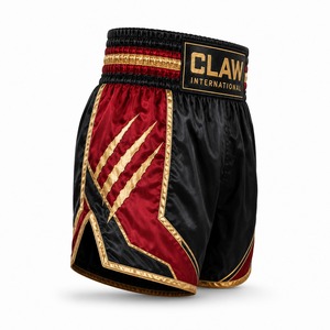 Custom Logo OEM MMA Shorts Lightweight Stretch Polyester Spandex Fight Training Comfortable High Quality MMA Shorts Customized - Product Image 2