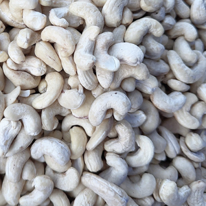 Fournisseur de confiance Noix de cajou W180 W320 Santigo, vente en gros de noix de cajou de Santigo, Vietnam - Product Image 1