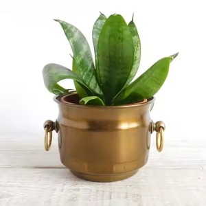 Jardinière galvanisée tendance, pot de fleurs décoratif en métal pour plantes d'intérieur, décoration de salon et de jardin - Product Image 6