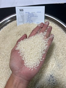 Arroz Japonica de Vietnam 5% 25% 100% Quebrado |   Arroz Aromático Premium para Venta al por Menor en Supermercados |   Empaque OEM – Anh Rice - Product Image 6