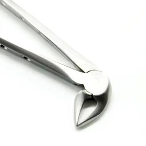 คีมถอนฟันเด็กแบบใหม่ ทำจากสแตนเลส สำหรับการถอนฟันและการรักษาฟัน - Product Image 6
