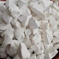 Poudre de magnésie en morceaux pour la gym - Antidérapante, pour l'escalade, l'haltérophilie, les tractions - Sachet scellé fraîchement scellé
