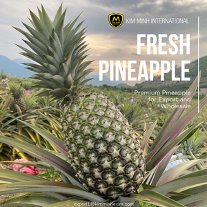 Piña Fresca de Vietnam _ Suministro a Granel Estable para Mercados B2B - Product Image 2