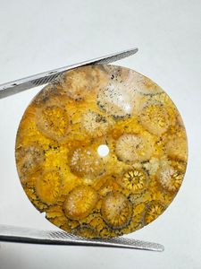 K Gems Cadran en Corail Naturel à Motif Unique et Inclusions, 31,50 mm, Plat, Épaisseur 0,90 mm, Pierre Libre pour la Fabrication de Montres, Classique et Élégant - Product Image 5