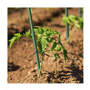 Garden Plant Support Stake Fiberglass Stick - Product Image 4