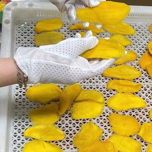 มะม่วงอบแห้ง มะม่วงธรรมชาติ ผลไม้อบแห้ง ขนมขบเคี้ยวสำหรับขายปลีกและขายส่ง เนื้อนุ่ม หวาน สไตล์ทรอปิคอล จำหน่ายจำนวนมาก แหล่งผลิตเวียดนาม - Product Image 1