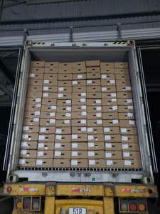 Faible MOQ, Ananas surgelé IQF du Vietnam en vrac, fruit tropical sucré pour smoothies, desserts, approvisionnement direct en gros - Mme Tarina - Product Image 6