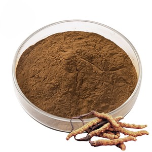 Extracto de Cordyceps Militaris de Alta Calidad 10:1 en Polvo, 100% Natural, Polvo Herbal de Cordyceps Militaris para Energía y Resistencia Diarias - Product Image 4