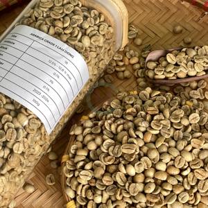 Café Vert du Vietnam 100% Pur pour Torréfaction et Boissons – Qualité Supérieure Arabica Robusta du Vietnam en Vrac - Product Image 2