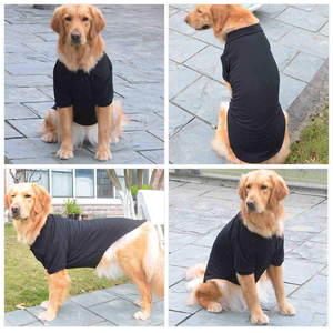 Camiseta para Perro con Estampado Personalizado, Ropa de Moda para Mascotas, Proveedor Mayorista, Chaleco Suave para Gato, Ropa Básica Cómoda para Cachorros al por Mayor - Product Image 5