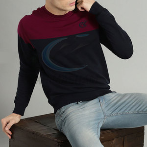 Sweat-shirt personnalisé pour homme, en coton mélangé, de haute qualité, avec impression de logo personnalisé, style décontracté d'hiver - Product Image 4