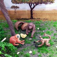 Figurines d'animaux miniatures en PVC, simulation réaliste, singes, pour décoration de maison de poupée et cadeaux pour mini-fermes et zoos – Vente chaude unisexe