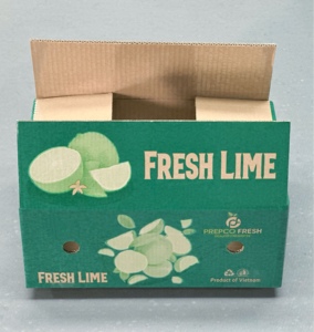 Boîte en carton ondulé imperméable pour l'exportation de citrons frais avec revêtement résistant à l'humidité et trous d'aération, boîtes d'emballage en gros - Product Image 1