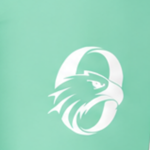 Manufacturer Mint Green Football Shorts Athletic Uniform Shorts Team Training Wear Custom <b>Sports</b> <b>Apparel</b> Performance Clothing - Product Image 6