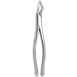 Dental Extraction Forceps Stainless Steel Best Price With Customized Size Dental Extracting Forceps by <b>Blush</b> Surgical - Product Image 6