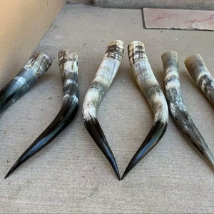 Par de Cuernos de Búfalo Pulidos para Decoración de Pared, Diseño Art Deco, Grandes de 27 a 35 Pulgadas, para Bodas, Cumpleaños, Aniversarios - Product Image 1