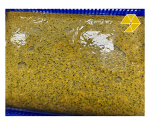 Frozen Passion Fruit Cube Seedless 100% Pure No Added Water Vietnam Frozen Passion Fruit Manufacturer For Smoothie <b>Dessert</b> - Product Image 1