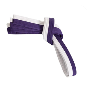 Cinturón de Artes Marciales Deportivas Unisex, Transpirable, Elástico, Ligero, de Algodón y Poliéster para Karate, Judo, Aikido, Adultos - Product Image 1