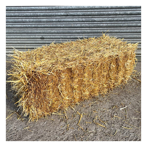 Paille de pâturage sélectionnée proposée aux acheteurs en gros et aux marchés des aliments pour animaux - Product Image 1