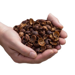 Cáscara de Café Estándar para Exportación, Suministro a Granel en Bolsas de 50 kg, Envío Global, Servicio OEM Disponible - Product Image 1